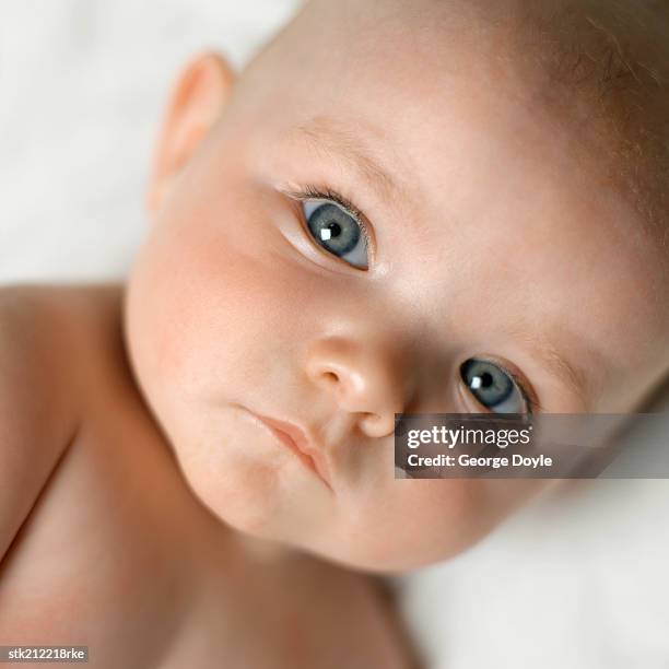 elevated close up view of baby  (3-6 months) - only baby boys stock pictures, royalty-free photos & images