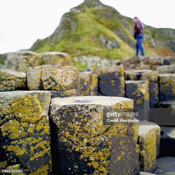 giants causeway in county antrim - column stock pictures, royalty-free photos & images