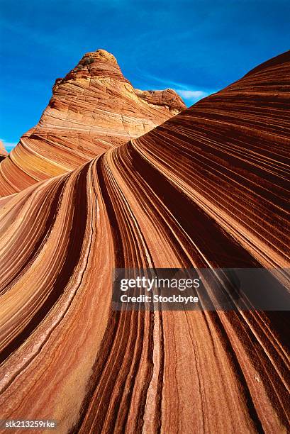 the wave, coyote butte,  vermillion cliffs national monument, arizona/utah border, usa - the wave utah stock pictures, royalty-free photos & images