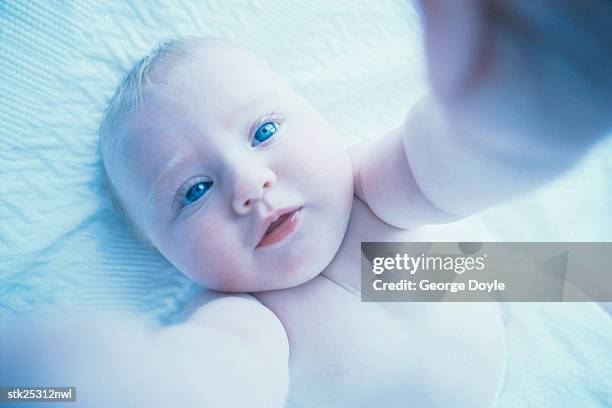 elevated view of a baby raising his arms (toned) - only baby girls stock pictures, royalty-free photos & images