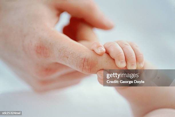 Child Snatching Hand Baby Grabbing Something Photos and Premium High Res Pictures - Getty Images
