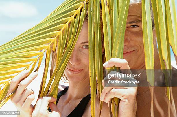 portrait of a couple looking between palm leaves - between stock-fotos und bilder