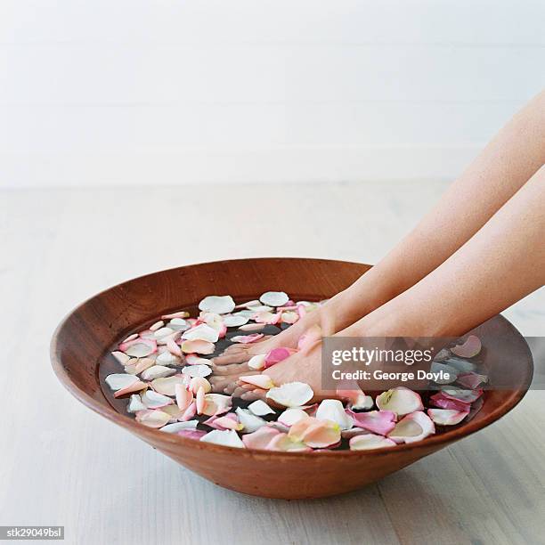 woman soaking her feet in water with rose petals - rosaceae stock pictures, royalty-free photos & images