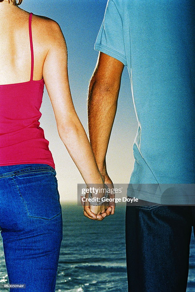 Rear view of a couple holding hands on the beach