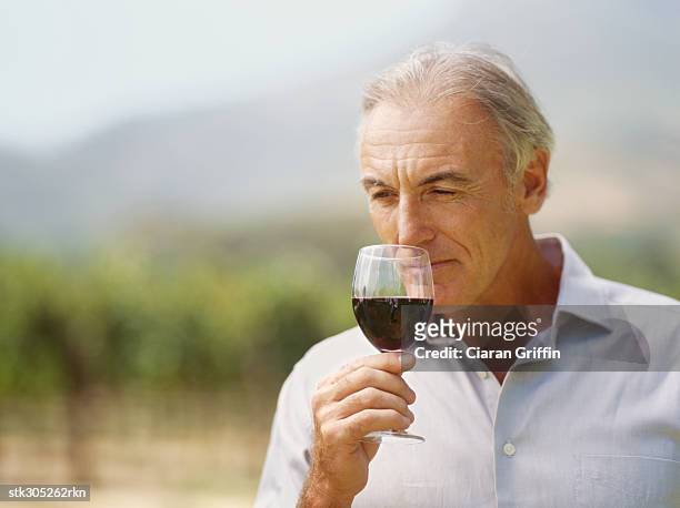 close-up of a mature man sniffing a glass of red wine - tony curtis in person at the film forum to present screenings of sweet smell stockfoto's en -beelden