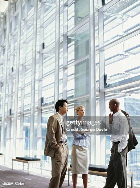 two businessmen and a businesswoman talking to each other in an office - other stock-fotos und bilder