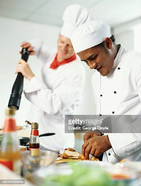 side profile of two chefs cooking food in the kitchen - the kitchen bildbanksfoton och bilder