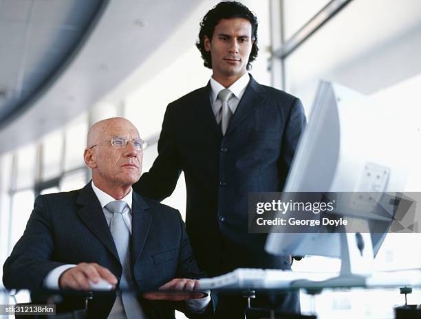 low angle view of two businessmen using a computer - hairless mouse stock pictures, royalty-free photos & images