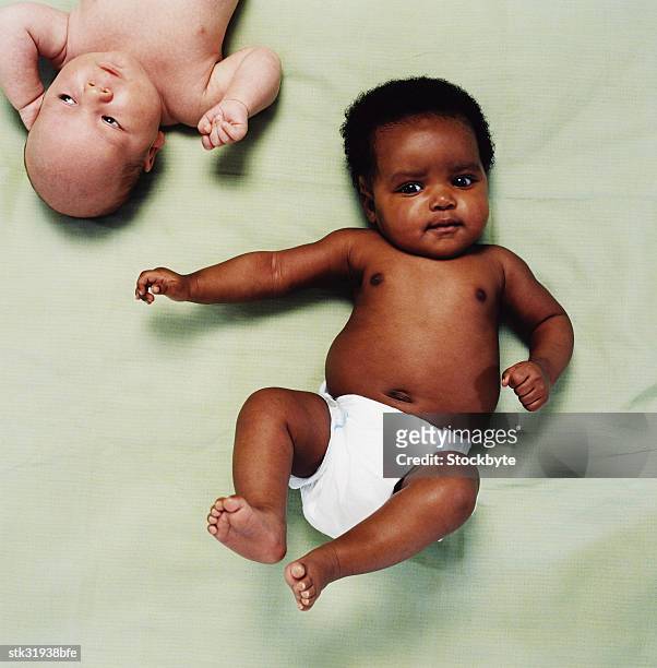 high angle portrait of two babies lying down - only baby boys stock pictures, royalty-free photos & images