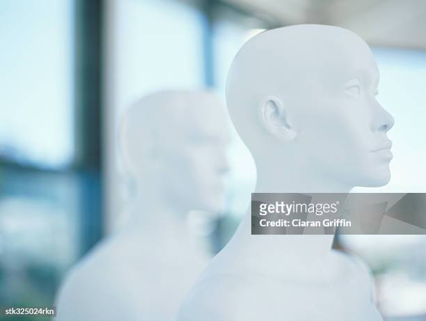 two mannequins in a clothing store - retail equipment stock pictures, royalty-free photos & images
