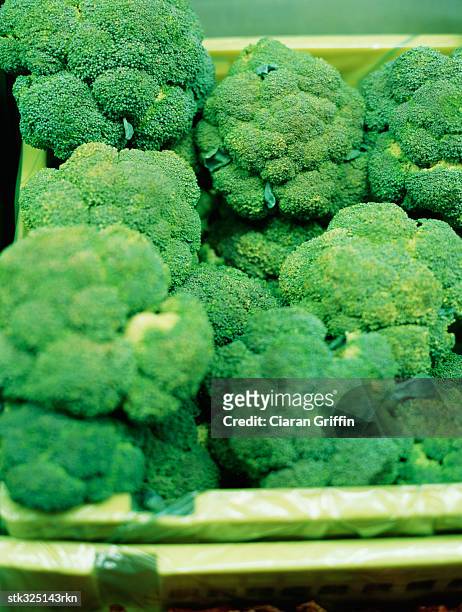 close-up of broccolis - crucifers stock pictures, royalty-free photos & images