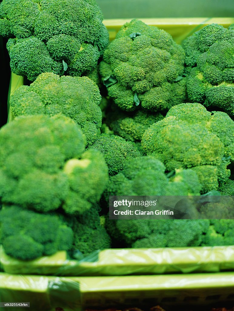 Close-up of broccolis