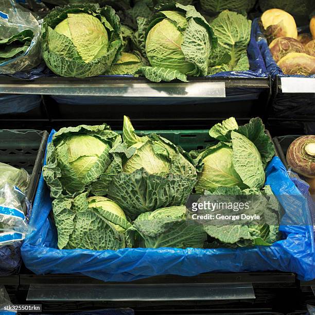 high angle view of cabbages in a supermarket - crucifers stock pictures, royalty-free photos & images