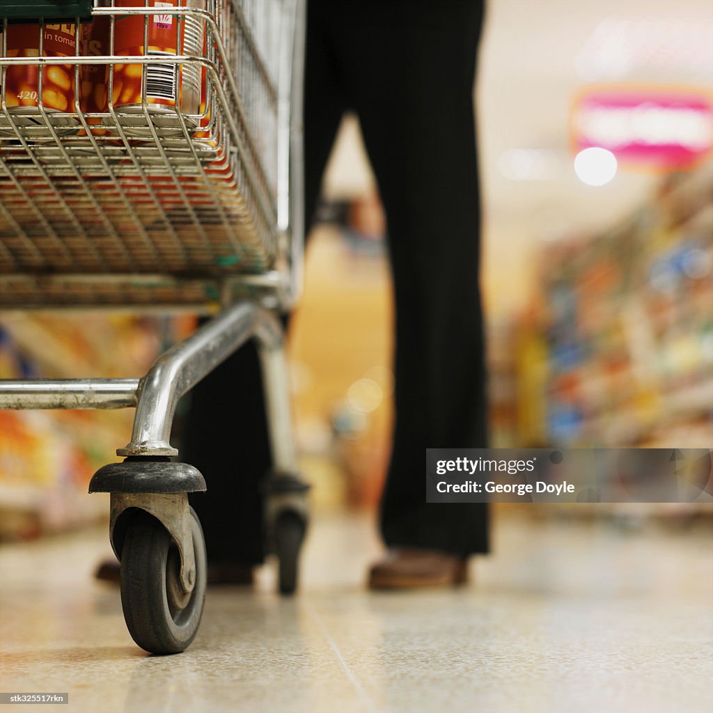 Person standing behind a shopping cart in a supermarket