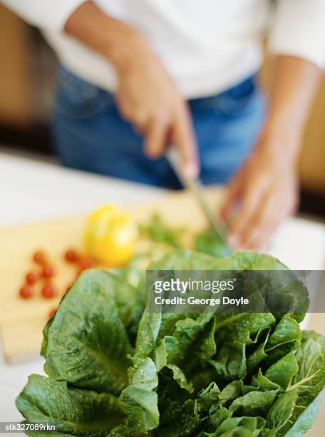 young woman cutting vegetables in the kitchen - the kitchen bildbanksfoton och bilder