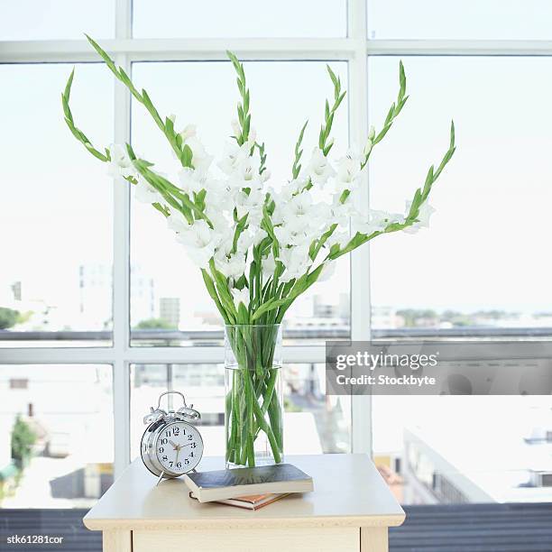 arrangement of gladioli in a glass vase beside an alarm clock on a table - lily family stock-fotos und bilder
