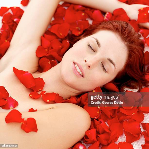 close-up of a woman covered with rose petals - rosaceae stock pictures, royalty-free photos & images