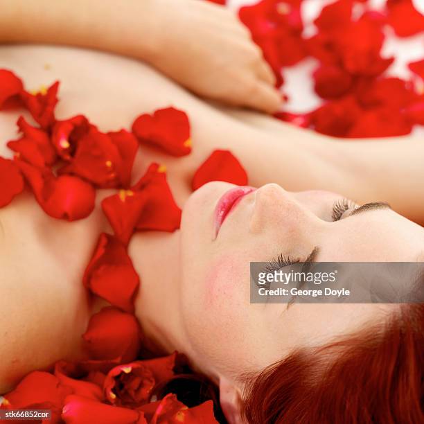 close-up of a woman covered with rose petals - rosaceae stock pictures, royalty-free photos & images
