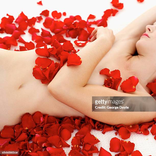 close-up of a nude woman covered with rose petals - rosaceae stock-fotos und bilder
