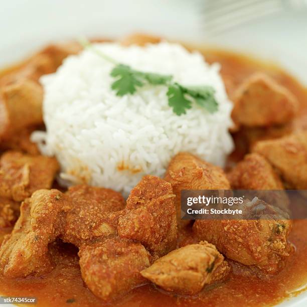 close-up of a dish of rice and curry - gen z studio brats premiere of chicken girls arrivals stockfoto's en -beelden