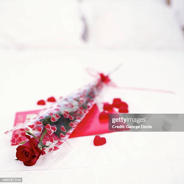 close-up of a single red rose with a valentine card on a bed - rosaceae stock-fotos und bilder