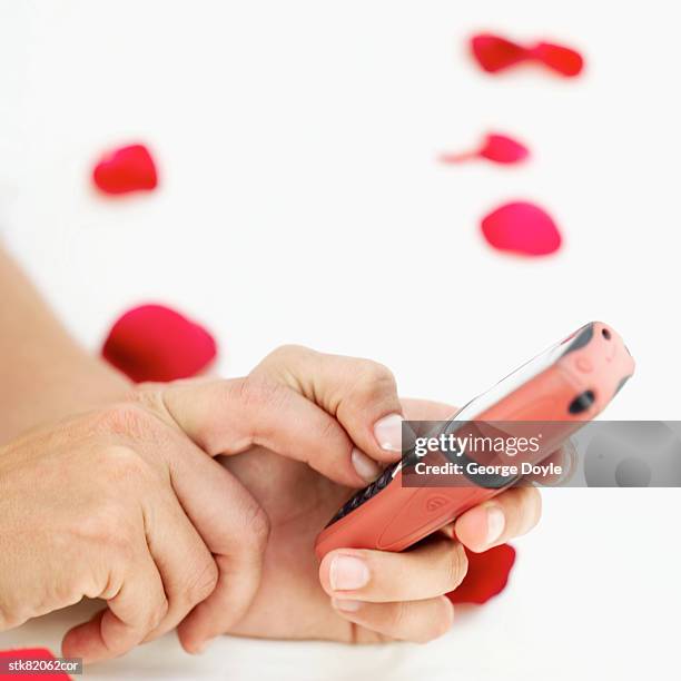 close-up of a woman's hands holding a mobile phone - rosaceae stock-fotos und bilder