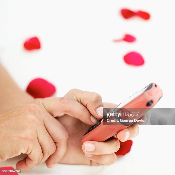 close-up of a woman's hands holding a mobile phone - magnoliopsida 個照片及圖片檔