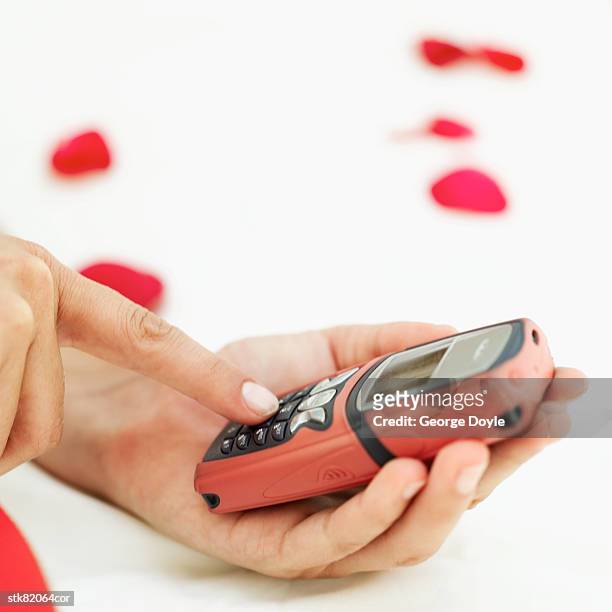 close-up of a woman's hands using a mobile phone - magnoliopsida 個照片及圖片檔