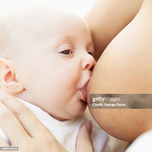 close-up of a baby taking a feed - unknown gender 個照片及圖片檔