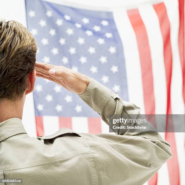 rear view of a man saluting the american flag - senate holds confirmation hearing for chuck hagel for secretary of defense stockfoto's en -beelden