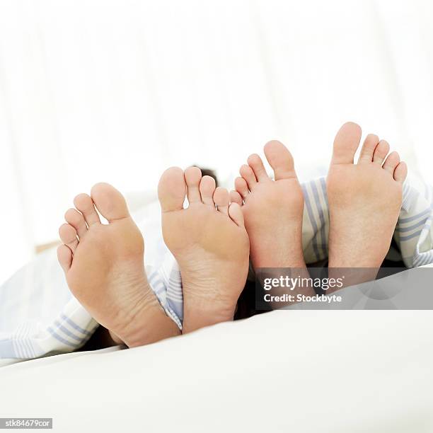 two pairs of feet on a bed sticking out from under a quilt - get out stock pictures, royalty-free photos & images