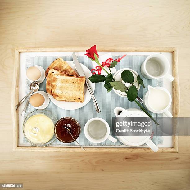elevated view of a breakfast served on a tray - magnoliopsida bildbanksfoton och bilder