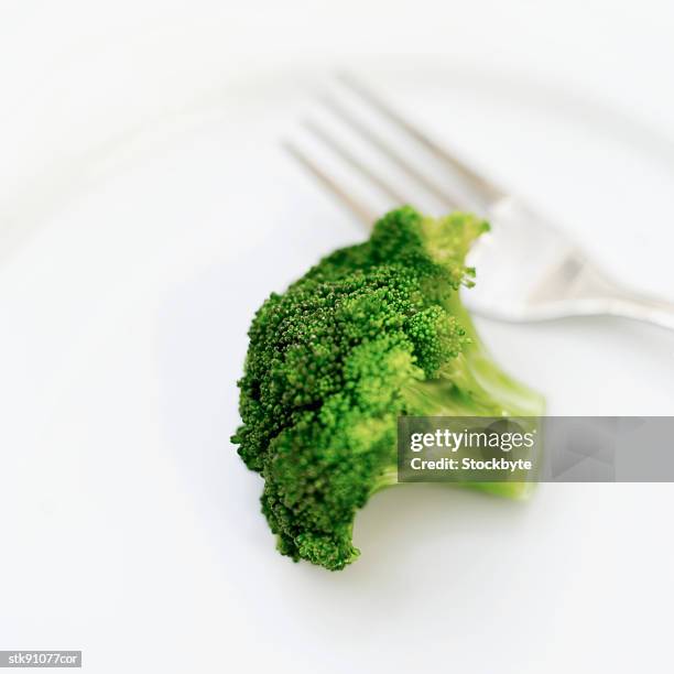 close-up of a piece of broccoli - crucifers fotografías e imágenes de stock