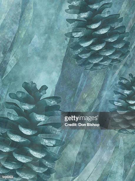 pine cones & leaves - pflanzliches entwicklungsstadium stock-grafiken, -clipart, -cartoons und -symbole