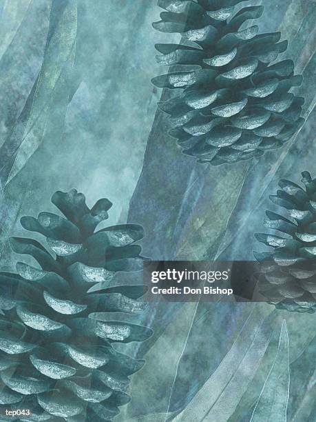 illustrations, cliparts, dessins animés et icônes de pine cones & leaves - étape de végétation