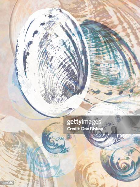 overlapping shells - iridescent shell stock illustrations