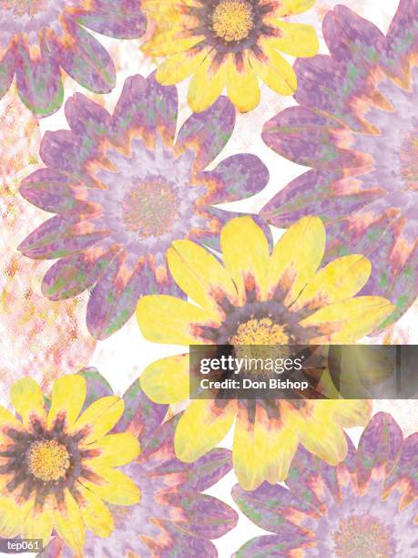 overlapping daisies - temperate flower stock illustrations