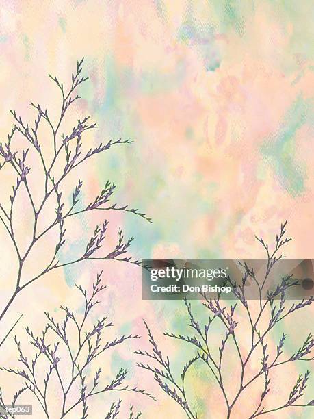 illustrations, cliparts, dessins animés et icônes de budding plant - étape de végétation