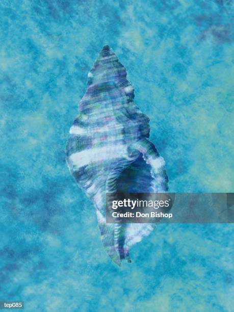 blue triton shell - triton stock illustrations