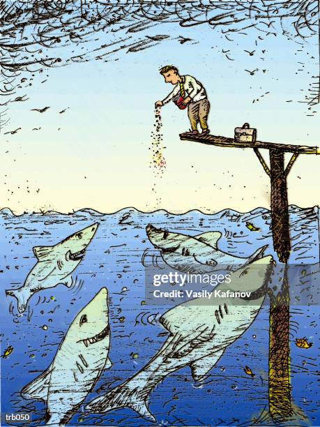 stockillustraties, clipart, cartoons en iconen met man feeding sharks - elasmobranch