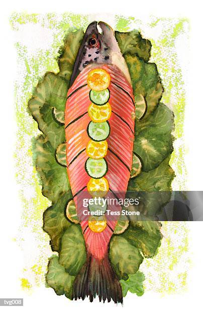 smoked salmon platter - temperate flower stock illustrations