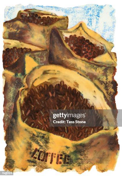 illustrations, cliparts, dessins animés et icônes de coffee beans - étape de végétation