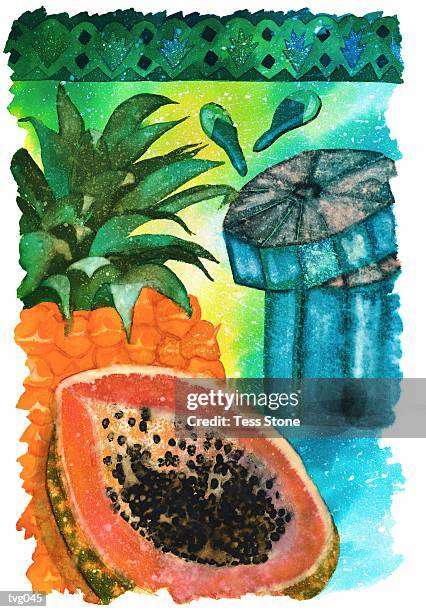 tropical fruit - pflanzliches entwicklungsstadium stock-grafiken, -clipart, -cartoons und -symbole