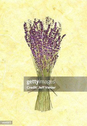 Lavender on Marble Background Lavender on Marble Background
