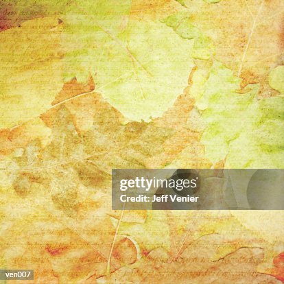 Leaf Rubbing Background Leaf Rubbing Background