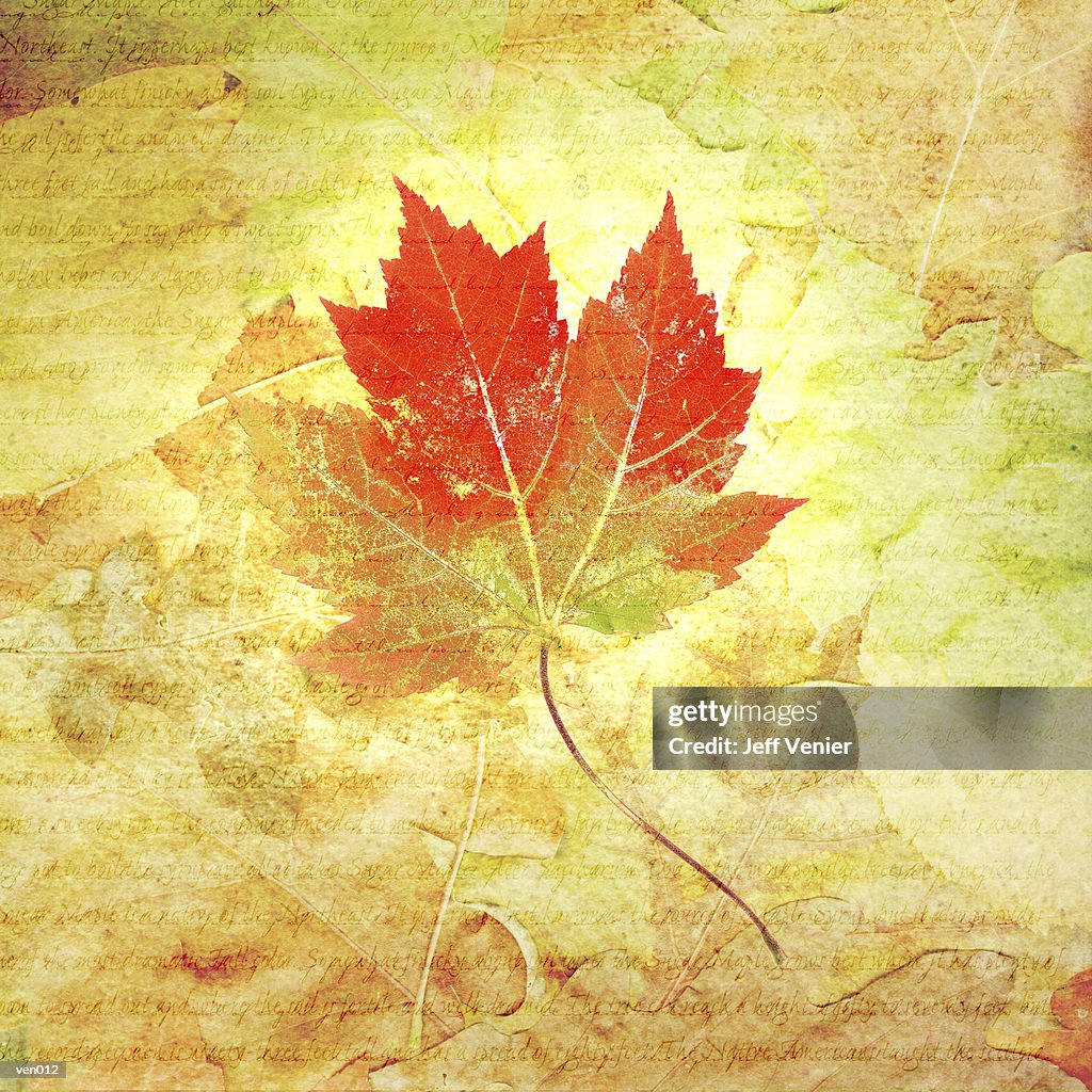 Maple Leaf on Collage Background