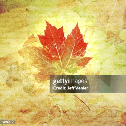 Maple Leaf on Collage Background Maple Leaf on Collage Background
