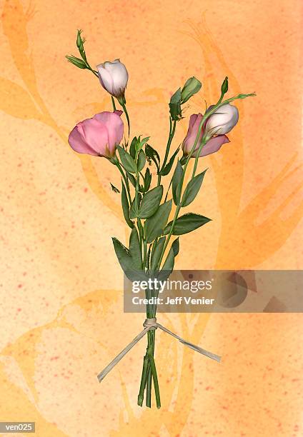 lisianthus bouquet - temperate flower stock illustrations