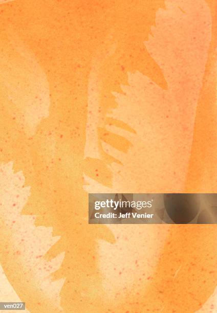 parrot tulip background - temperate flower stock illustrations