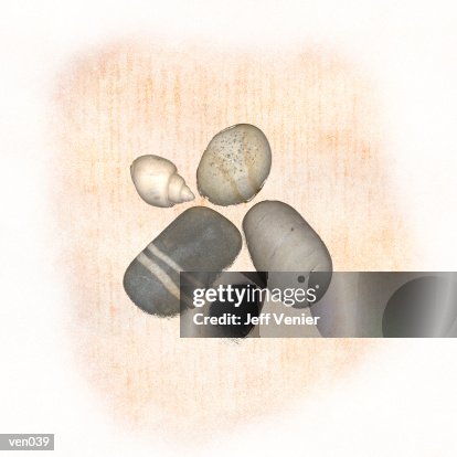Stones & Shells Stones & Shells